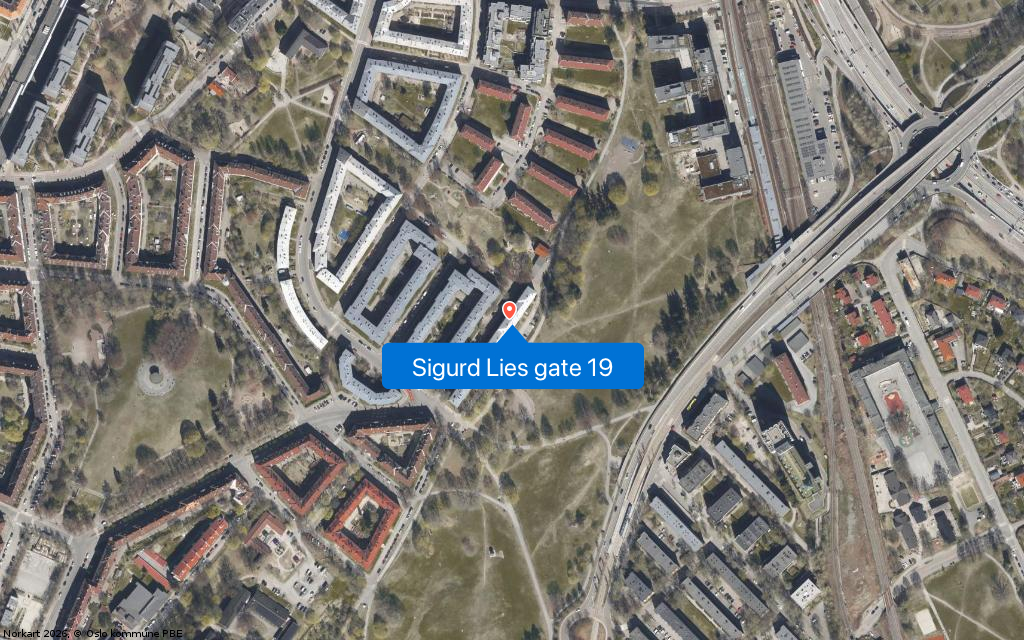 Sigurd Lies gate 19