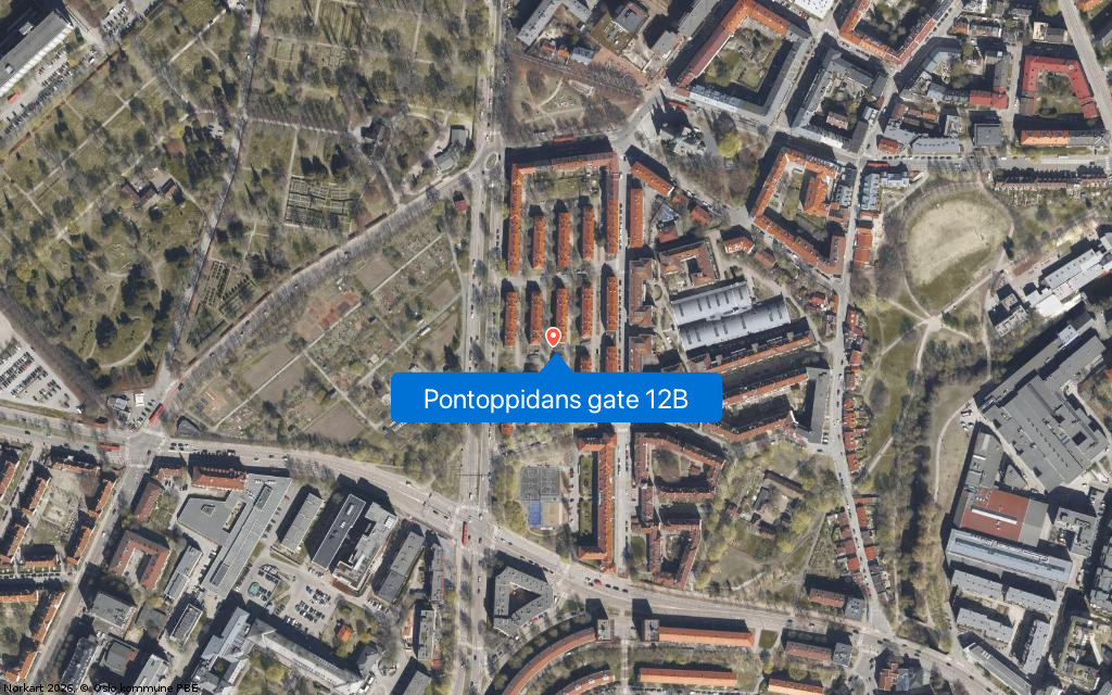 Pontoppidans gate 12B