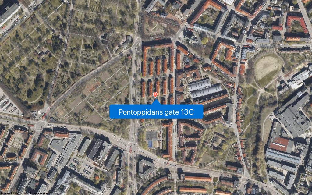 Pontoppidans gate 13C