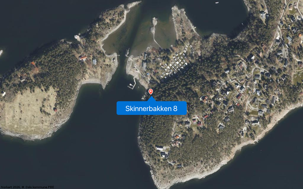 Skinnerbakken 8