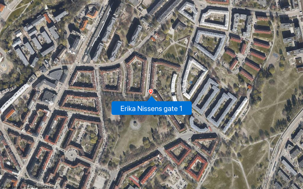 Erika Nissens gate 1