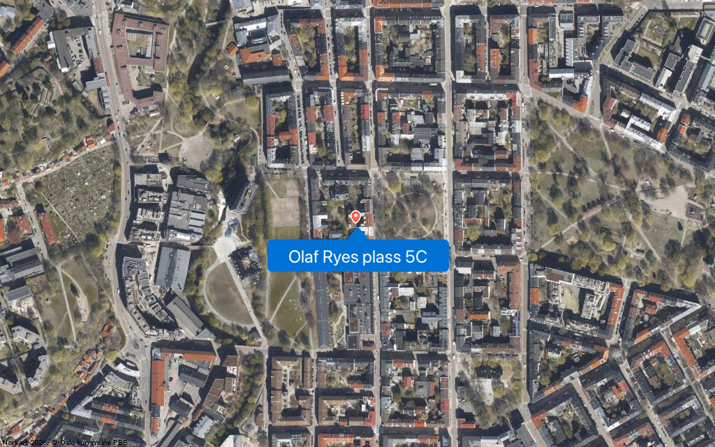 Olaf Ryes plass 5C