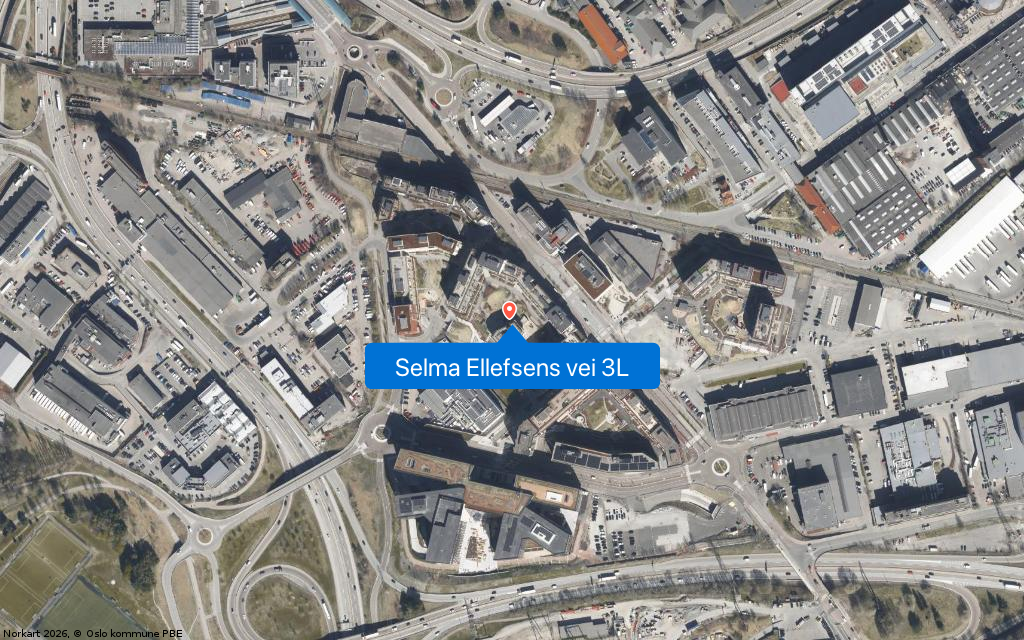 Selma Ellefsens vei 3L