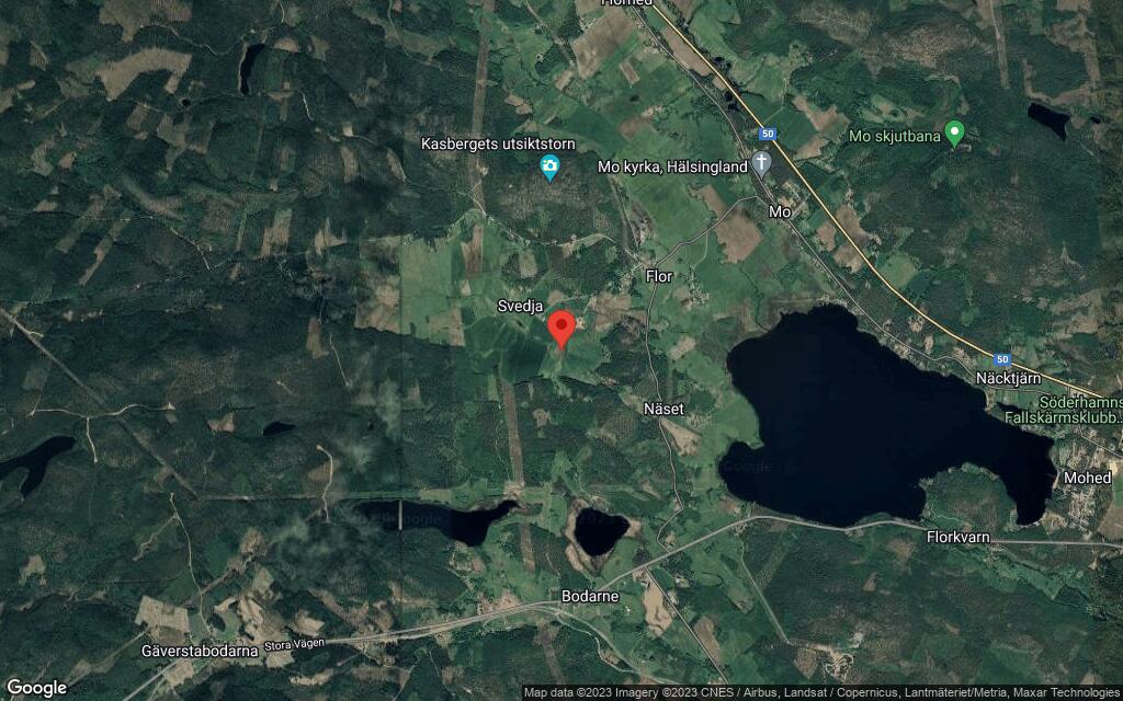 Området kring Svedja 401
