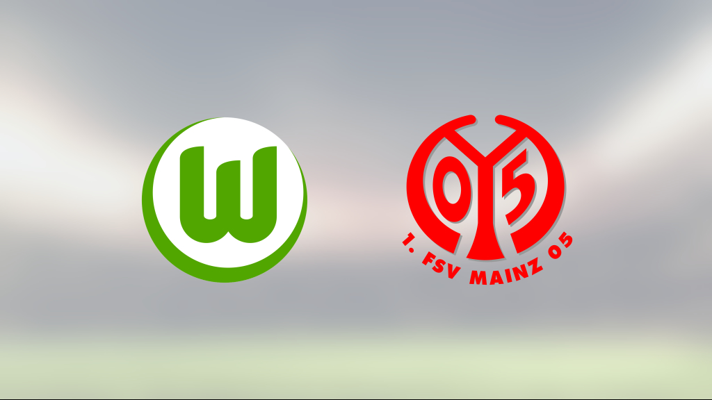 Max Kruse fixade segern för Wolfsburg i matchen mot Mainz