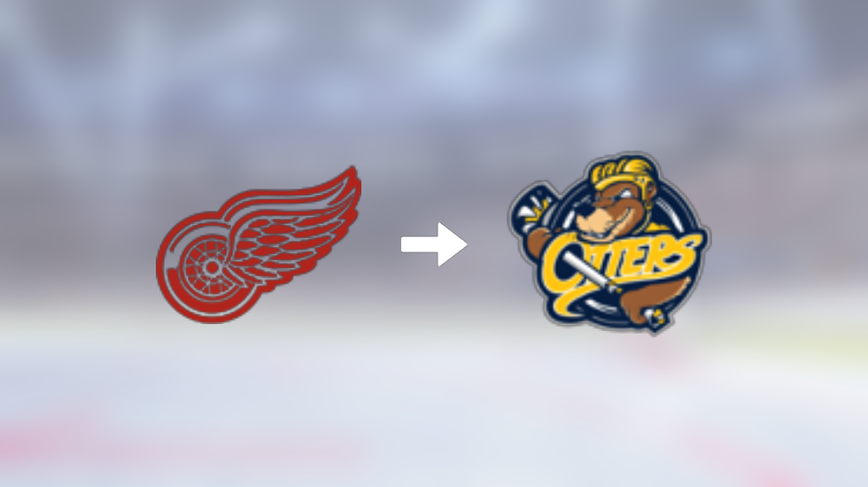 Erie Otters recruit defenseman Ty Henry from Toronto Red Wings U16 AAA