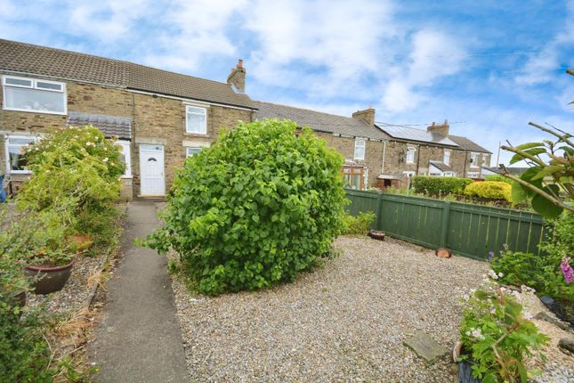 6 Garden Terrace