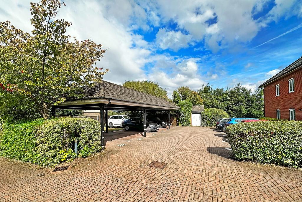 Meadow Court, Wellfield Lane