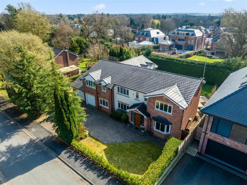 7 Pinewood